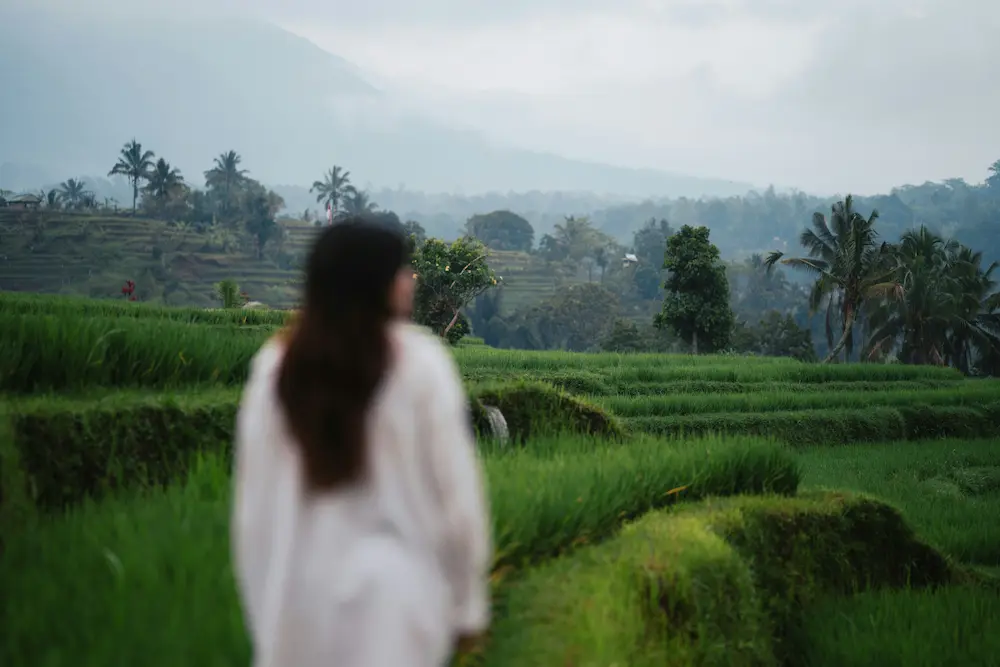 Woman contemplating misty rice fields and mountains in Munduk, North Bali digital detox retreat destination in Indonesia