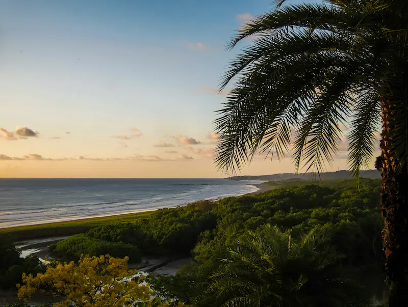 Tropical beach, palm tree and ocean sunset on the Nicoya Peninsula, Costa Rica digital detox retreat destination