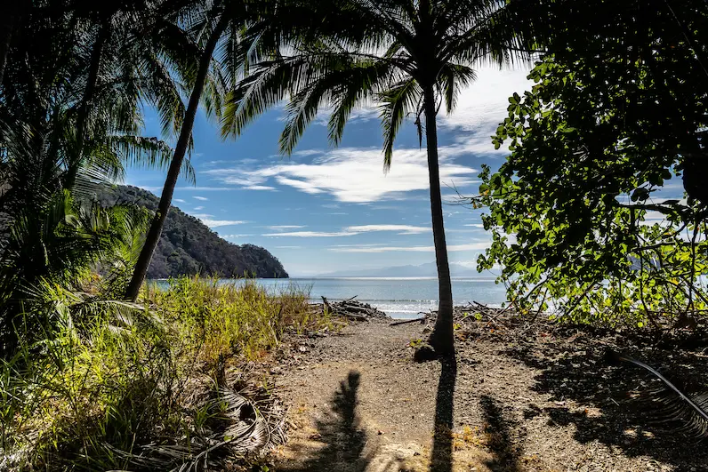 Secluded tropical beach framed by palm trees on the Osa Peninsula, Costa Rica digital detox retreat destination